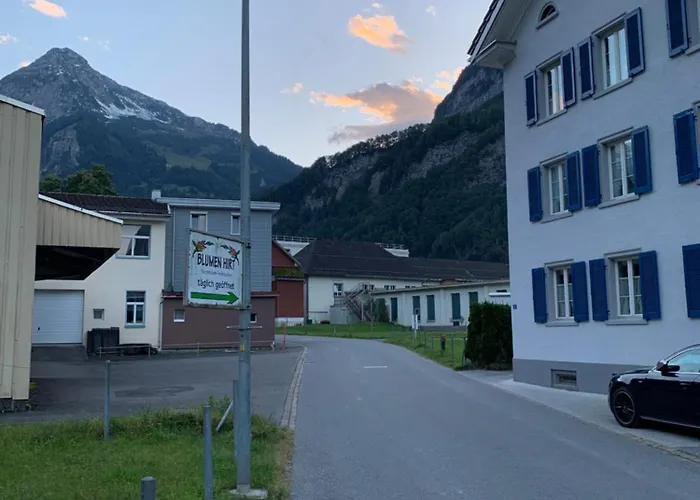 Vista A Los Alpes