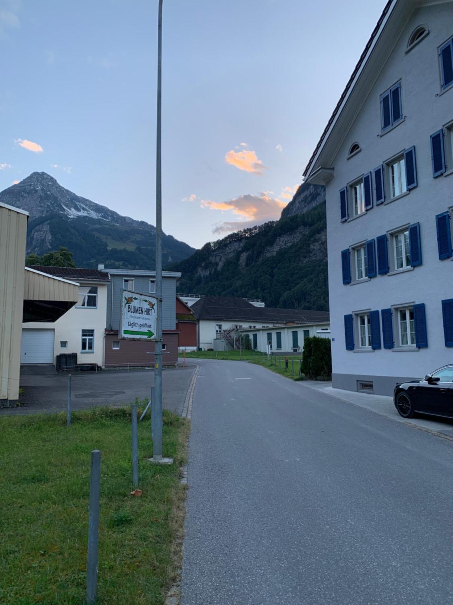 Vista A Alpes Linthal