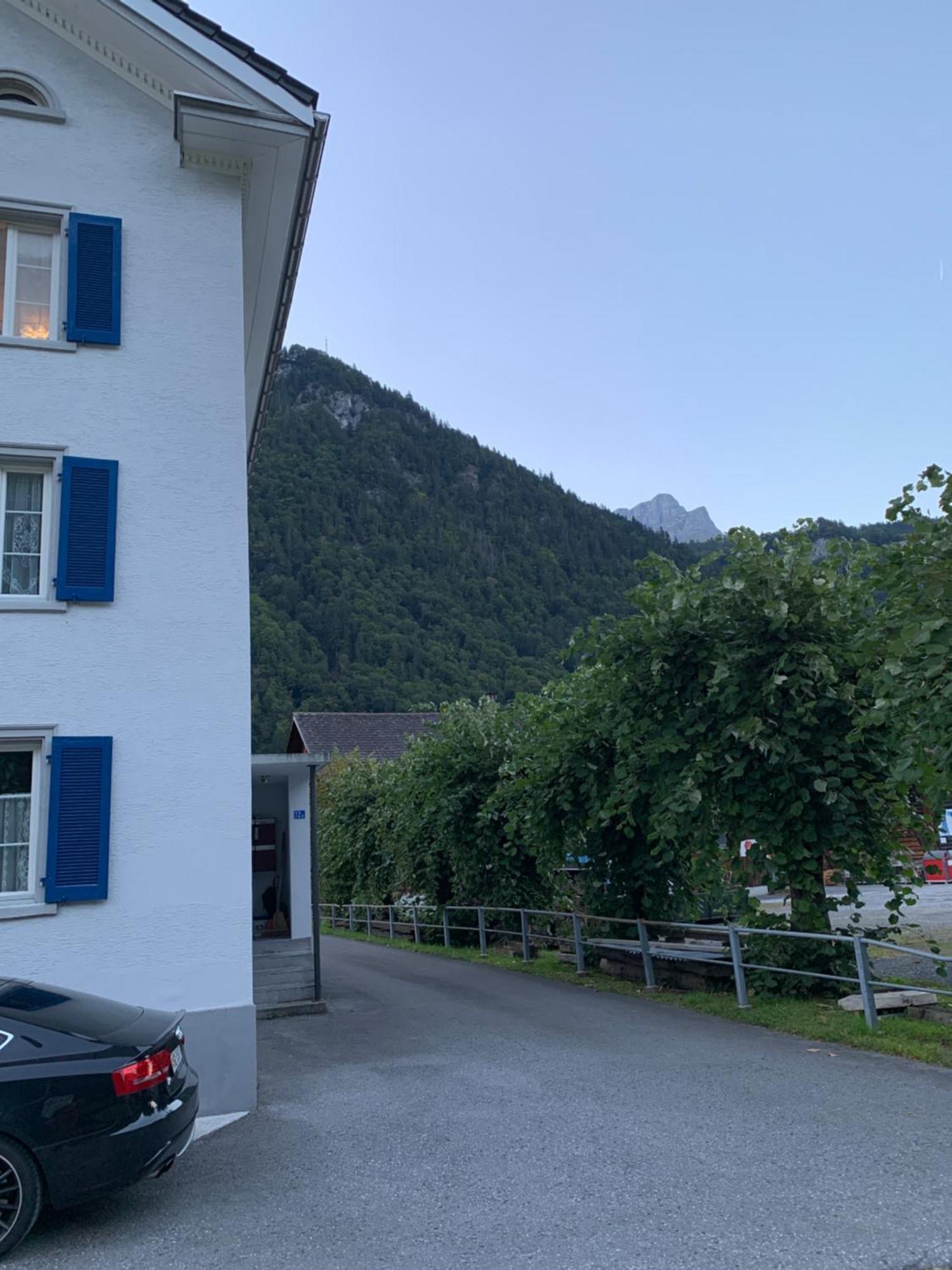 Vista A Alpes