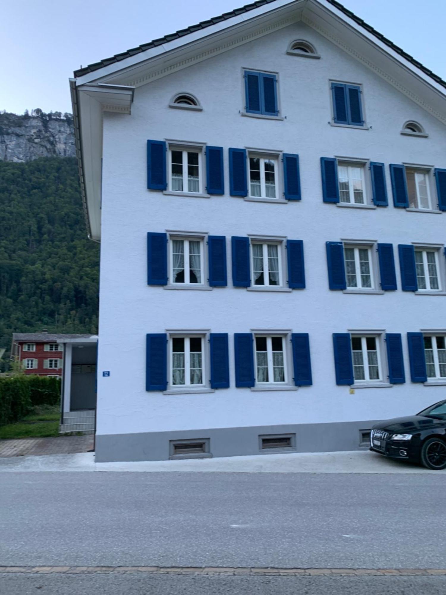 Vista A Alpes * Linthal